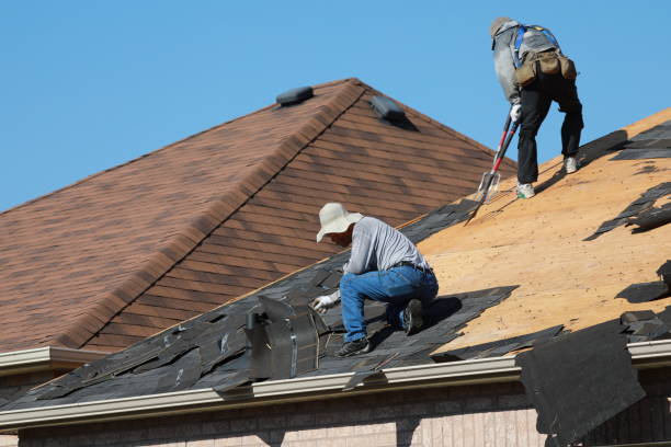 Best Storm Damage Roof Repair  in Berthoud, CO