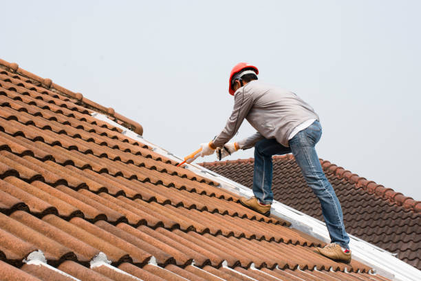 Best Metal Roofing Installation  in Berthoud, CO