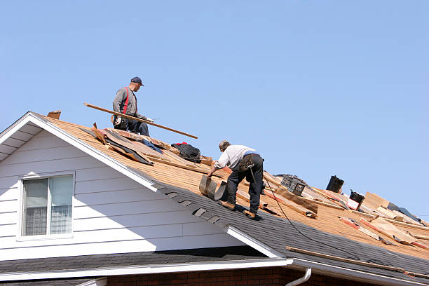 Best Roof Coating and Sealing  in Berthoud, CO
